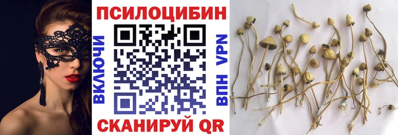 Галлюциногенные грибы MAGIC MUSHROOMS  даркнет сайт  MEGA ТОР  Фатеж 